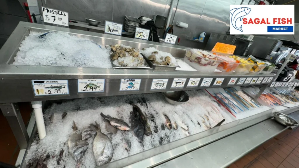 Fish Market