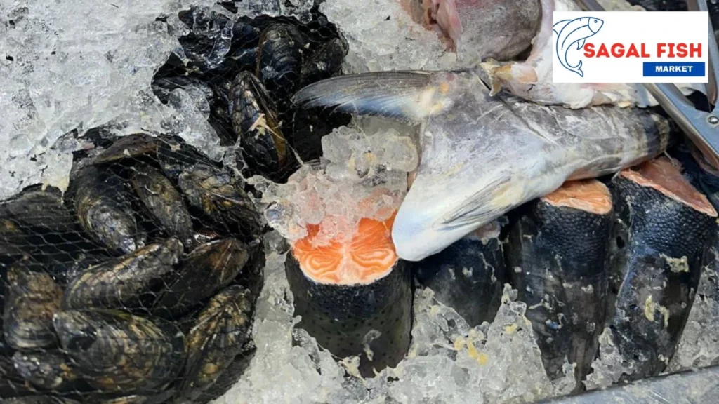 Fish Market