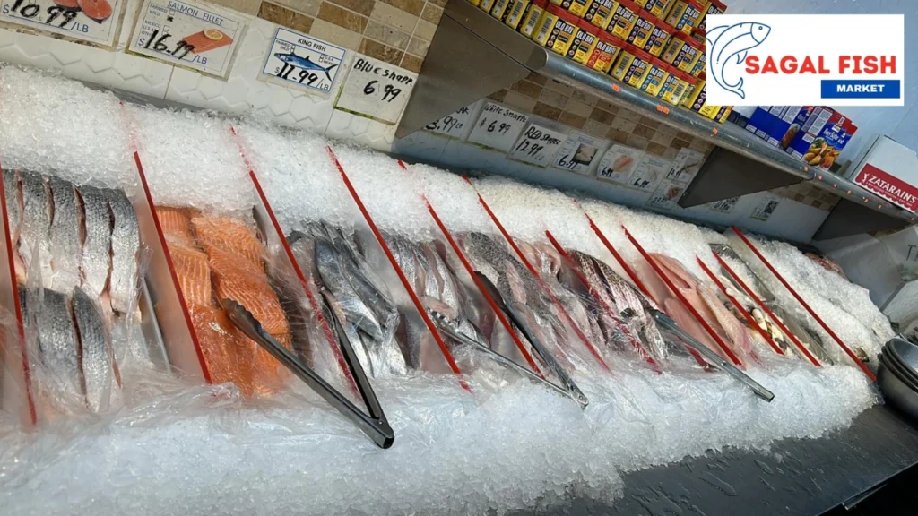 Fish Market