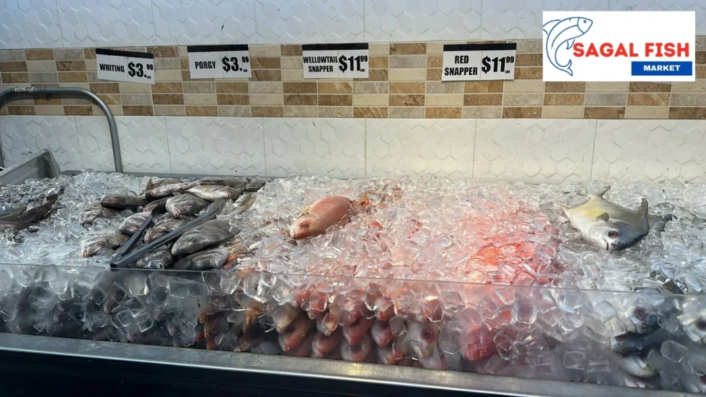 Fish Market