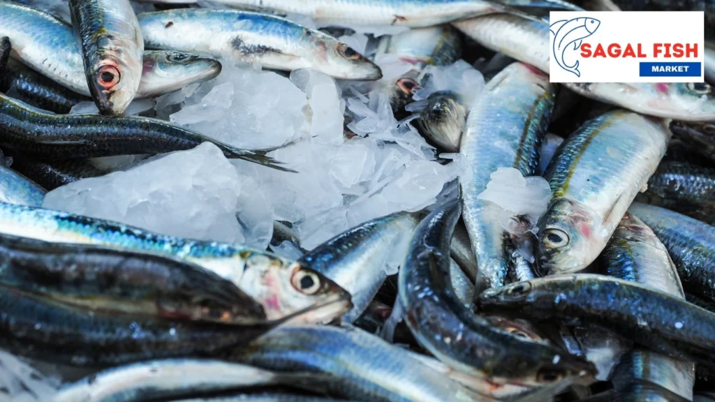 Seafood Market