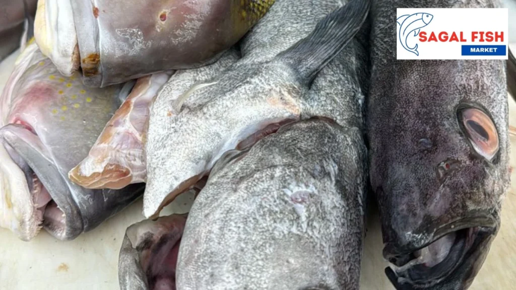Fish Market